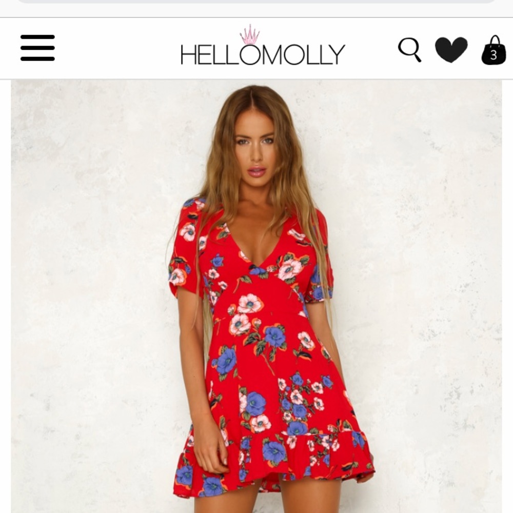 hello Molly red floral dress (small)